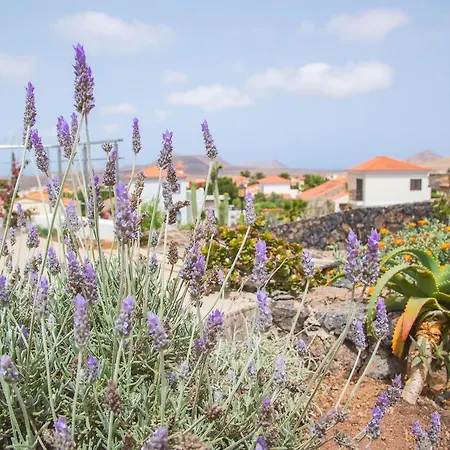 Casa Bora Appartamento